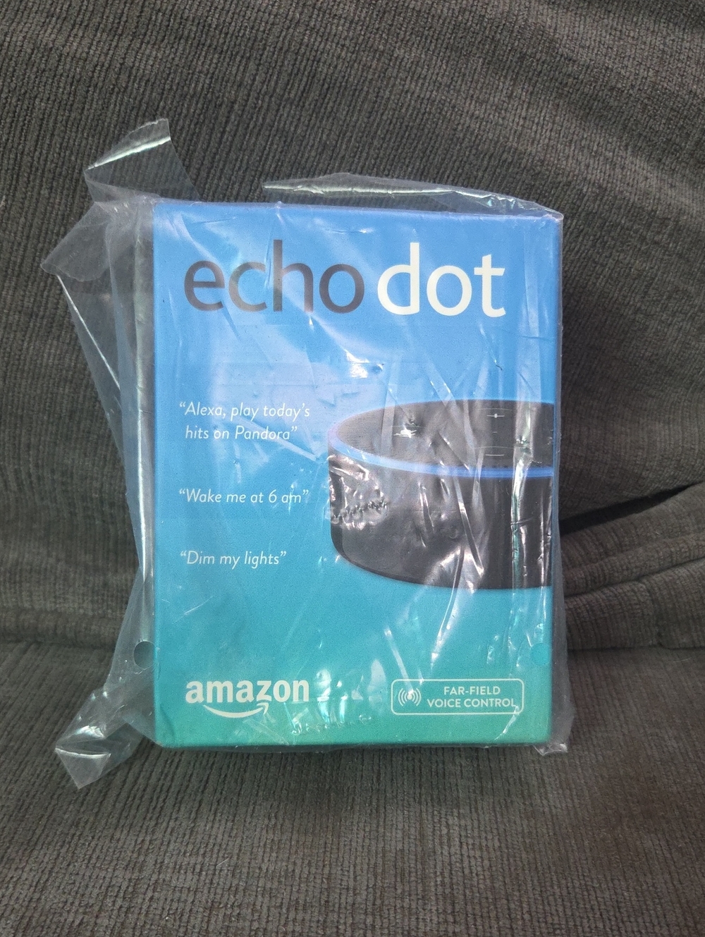 Echo Dot